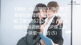 《稀缺__极品狠货》字母圈王者级玩家母狗女奴SP界天花板【曙光0521】私拍，露出啪啪道具调教暴力SP身上青一块紫一块的 (5)