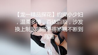 【龙一精品探花】约操小少妇，温柔多情，百依百顺，沙发换上制服啪啪干得娇喘不断到高潮