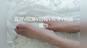 亚洲V欧美V日韩V高清V视频播放