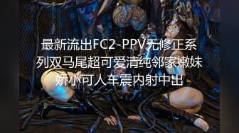 最新流出FC2-PPV无修正系列双马尾超可爱清纯邻家嫩妹娇小可人车震内射中出