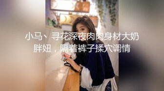 小马丶寻花深夜肉肉身材大奶胖妞，隔着裤子揉穴调情