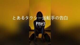 とあるタクシー运転手の告白 File3