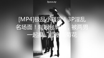 [MP4]极品小骚货！3P淫乱名场面！制服包臀裙，被两男一起摸，肛塞插菊花