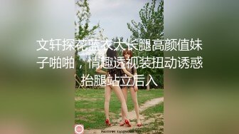 文轩探花蓝衣大长腿高颜值妹子啪啪，情趣透视装扭动诱惑抬腿站立后入