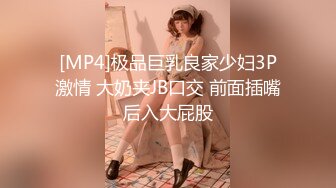 [MP4]极品巨乳良家少妇3P激情 大奶夹JB口交 前面插嘴后入大屁股