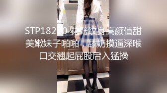 STP18270 花臂纹身高颜值甜美嫩妹子啪啪，舔奶摸逼深喉口交翘起屁股后入猛操