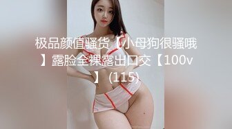 极品颜值骚货【小母狗很骚哦】露脸全裸露出口交【100v】 (115)