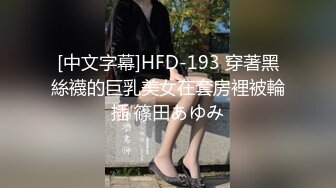 [中文字幕]HFD-193 穿著黑絲襪的巨乳美女在套房裡被輪插 篠田あゆみ