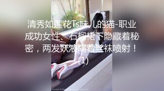 清秀如莲花Ts味儿的猫-职业成功女性、石榴裙下隐藏着秘密，两发妖液隔着丝袜喷射！ (1)