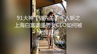 91大神【猫先生】千人斩之上海白富美强势女CEO如何被大屌征服