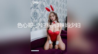 色心哥-少妇系列3辣妈少妇