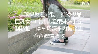 ⚡⚡顶级反差尤物！推特极品巨乳女神【九儿温柔妹妹】定制私拍，停车场豪车内被金主爸爸激情调教