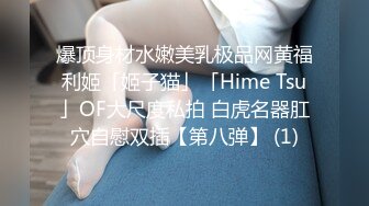 爆顶身材水嫩美乳极品网黄福利姬「姬子猫」「Hime Tsu」OF大尺度私拍 白虎名器肛穴自慰双插【第八弹】 (1)