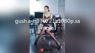 gush.a-b130721a1080p.sample